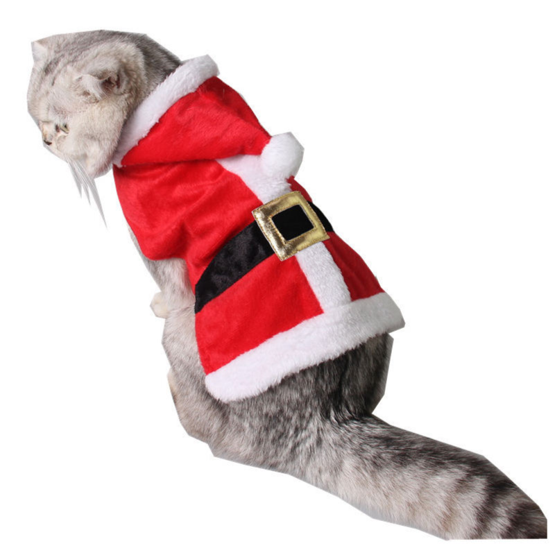 Festive Costume For Cats And Small Dogs