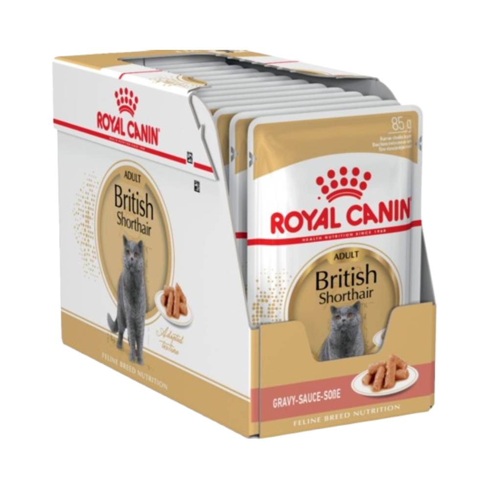 Royal Canin British Shorthair Adult Gravy Cat Wet Food 85g x 12 Pouches