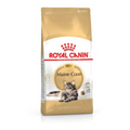 Royal Canin Maine Coon Adult Dry Cat Food 2kg