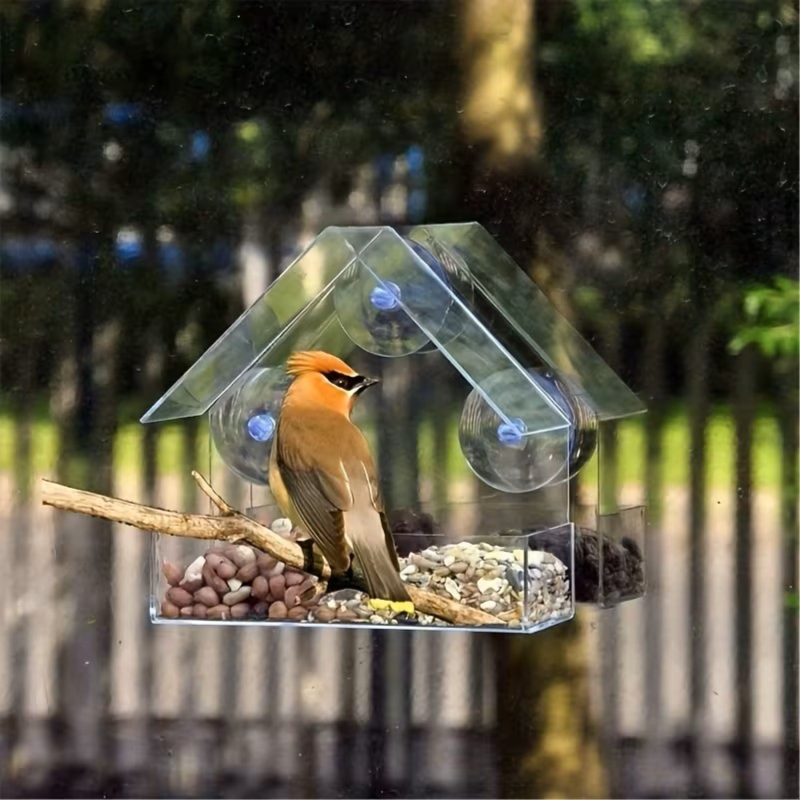 Window Viewing Transparent Bird Feeder