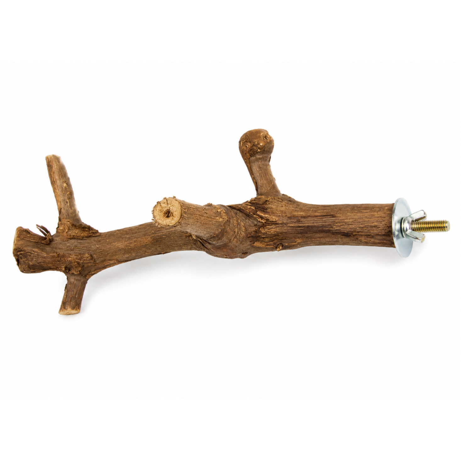 Natural Grape Wood Bird Perch – 20cm