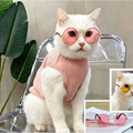 Stylish Cat Dress-Up Outfit with Pink Sunglasses