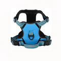 Dog Harness Blue (Small)