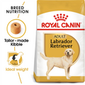 Royal Canin Labrador Adult Dry Dog Food 12 kg