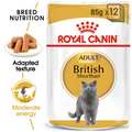 Royal Canin British Shorthair Adult Gravy Cat Wet Food 85g Pouch