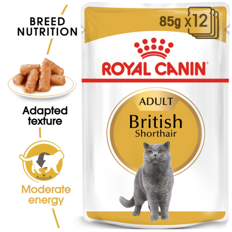 Royal Canin British Shorthair Adult Gravy Cat Wet Food 85g Pouch