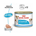 Royal Canin Health Nutrition Starter Mousse Wet Food Cans 195g x 12 Can