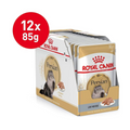 Royal Canin Persian Adult Cat Wet Food 85g x 12 Pouches