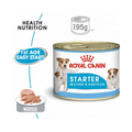 Royal Canin Health Nutrition Starter Mousse Wet Food Cans 195g can