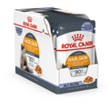 Royal Canin Hair And Skin Jelly Cat Wet Food 85g x 12 Pouches