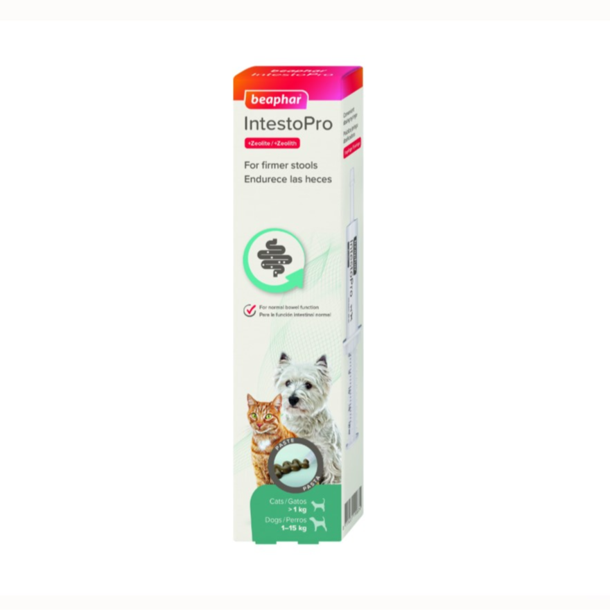 IntestoPro Anti Diarrhea Paste Syringe Small Dog & Cat 20ml