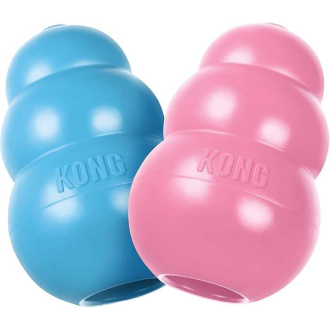 Kong Toy - Large (Blue)