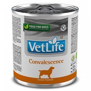 Farmina VetLife Convalescence Wet Dog Food, 300g