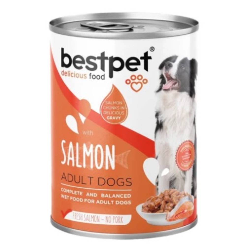Bestpet Adult Dog Wet Food With Salmon In Gravy 400g