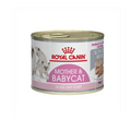 Royal Canin Mother And BabyCat Mousse Wet Cat Food 195g Can