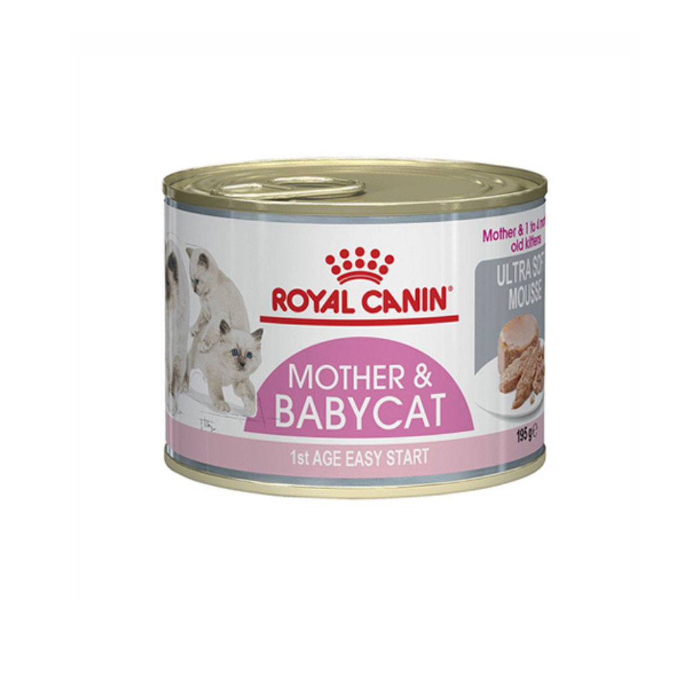 Royal Canin Mother And BabyCat Mousse Wet Cat Food 195g Can