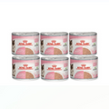 Royal Canin Mother And BabyCat Mousse Wet Cat Food 195g x 6 Can