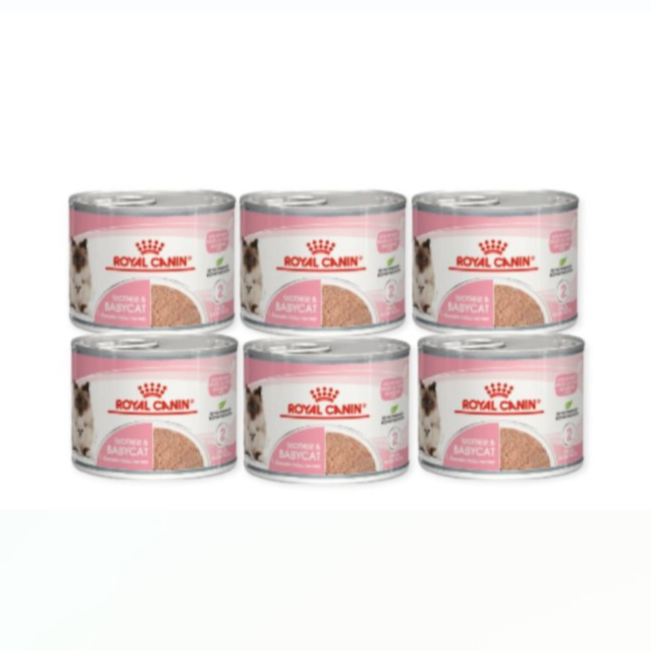 Royal Canin Mother And BabyCat Mousse Wet Cat Food 195g x 6 Can