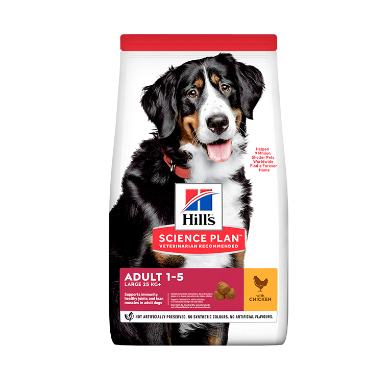 Hills Large Breed Adult Dry Dog Food With Chicken, 14kg