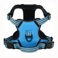Dog Harness Large Blue
