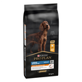 Pro Plan Everyday Nutrition Large Athletic Adult Dry Dog Food With Chicken, 14kg