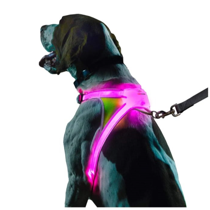 Light Up Harness for Large Dogs