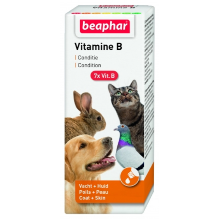 Vitamin B Complex 50 Ml