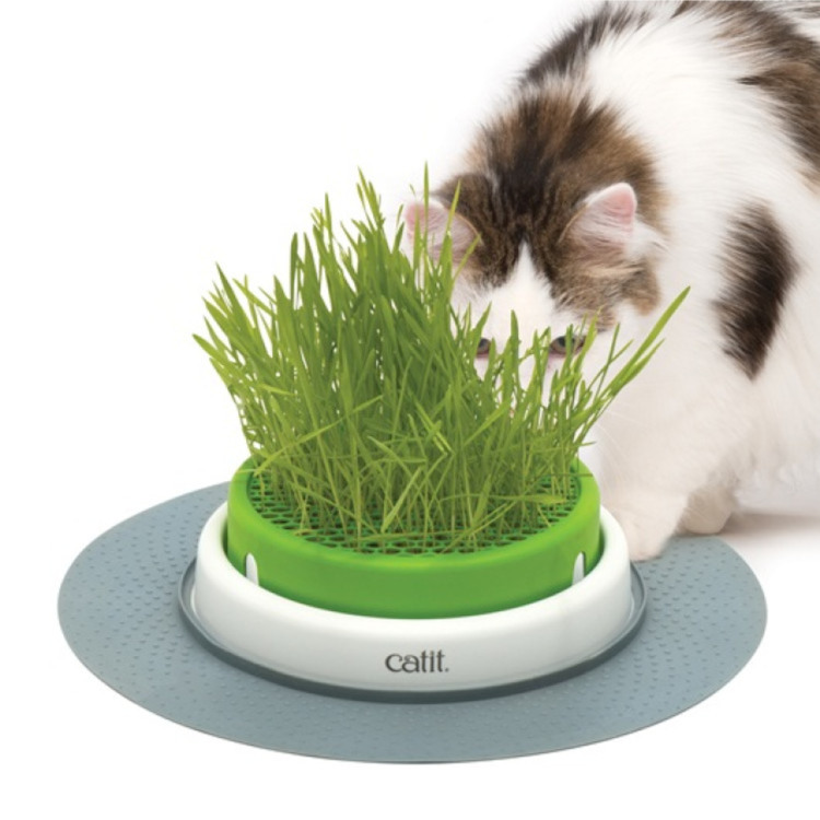 Catit Senses 2.0 Grass Planter