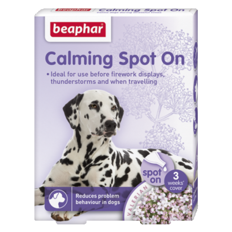 Calming Spot on Dog