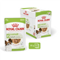 Royal Canin XSmall Adult Dog Wet Food 85g x 12 Pouches