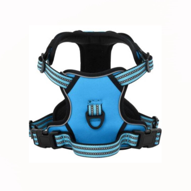 Dog Harness Medium Blue